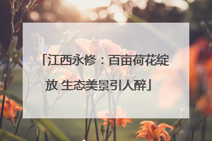 江西永修：百亩荷花绽放 生态美景引人醉